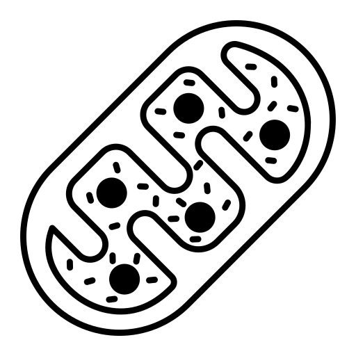 Cellular Energy